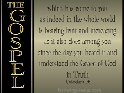Colossians 1:6 The Gospel Which Has Come To You (gold)